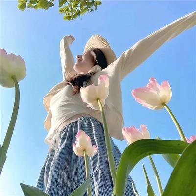 太阳与波莱罗