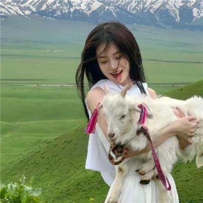完美候选人